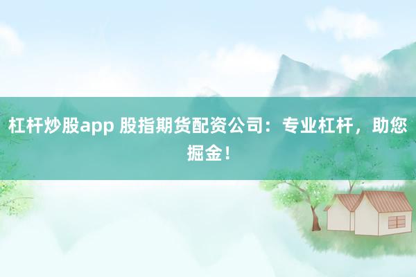 杠桿炒股app 股指期貨配資公司：專業(yè)杠桿，助您掘金！